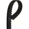 BELT TMG - image 1