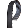 BELT TMG - image 1