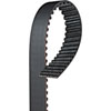 Timing Belt (PARITY) - image 1