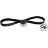 Timing Belt Kit (B)