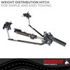 30849 Round Bar 1200 Pound Tongue Weight with 10 in. Shank, 2-5/16 in. Ball & Sway Control Package, Black - image 4