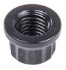 Black Oxide 12-Point Nut 5/16"-24 - image 2