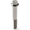 3/8" Stainless Steel 12-Point Bolt 2.5" UHL - image 1