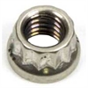 Stainless Steel 12-Point Nut M8 x 1.00 - image 1