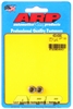 M6 X 1.00 SS M8 socket 12pt nut kit - image 1