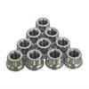 Stainless Steel 12-Point Nuts 1/4 in.-20 - image 1