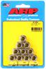 Stainless Steel 12-Point Nuts 3/8 in.-16 - image 1