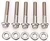 1/4" Stainless Steel 12-Point Bolts 1.500" UHL - image 2