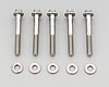 1/4" Stainless Steel 12-Point Bolts 2.000" UHL - image 1
