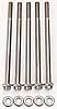 1/4" Stainless Steel 12-Point Bolts 4.500" UHL - image 2