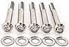 3/8" Stainless Steel 12-Point Bolts 3.000" UHL - image 3
