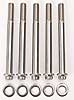 3/8" Stainless Steel 12-Point Bolts 4.000" UHL - image 2