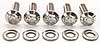 1/4" Stainless Steel Hex Bolts 1.000" UHL - image 3