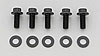 5/16"-18 Chromemoly Bolts 0.750" UHL, 12-Point - image 1