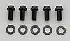3/8"-16 Chromemoly Bolts 0.750" UHL, 12-Point - image 1