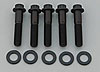 3/8"-16 Chromemoly Bolts 1.750" UHL, 12-Point - image 1