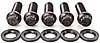 Black Oxide SAE 12-Point Bolts - image 3