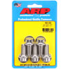 Stainless Steel SAE 12-Point Bolts - image 1