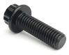 Chromoly 12-Point Bolt Thread: M8-1.25 - image 1