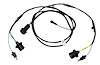 REAR BODY LIGHT HARNESS, - image 1