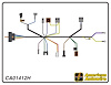 ENGINE HARNESS, V8, big b - image 1