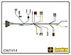 ENGINE HARNESS, V8, big b - image 1