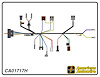 ENGINE HARNESS, V8, small - image 1