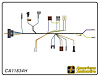 ENGINE HARNESS, V8, big b - image 1