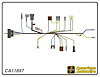 ENGINE HARNESS, V8, big b - image 1