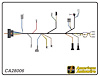 ENGINE HARNESS, V8, small - image 1