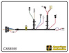 ENGINE HARNESS, V8, manua - image 1