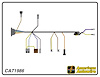 ENGINE HARNESS, V8, big b - image 1