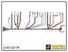 FRONT LIGHT HARNESS, 307- - image 1