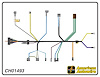 ENGINE HARNESS, V8, with - image 1