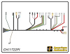 FRONT LIGHT HARNESS, 307- - image 1