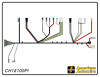FRONT LIGHT HARNESS, V8, - image 1