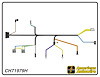 ENGINE HARNESS, V8, with - image 1