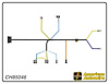 ENGINE HARNESS, V8, with - image 1