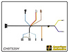 ENGINE HARNESS, V8, 396 c - image 1