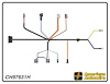 ENGINE HARNESS, V8, 396 c - image 1