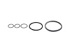 98-004 Replacement O-Ring Kit Click More Info for Applications - image 1