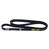 Serpentine Belt 1991-2005 Mopar - image 1