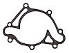 Water Pump Gasket - image 1