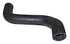 Radiator Hose - image 1