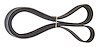 Serpentine Belt
