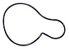 Water Pump Seal