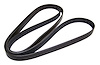 Serpentine Belt - image 1