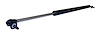 Liftgate Support - image 1