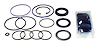 Steering Gear Seal Kit - image 1