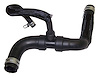 Radiator Hose - image 1